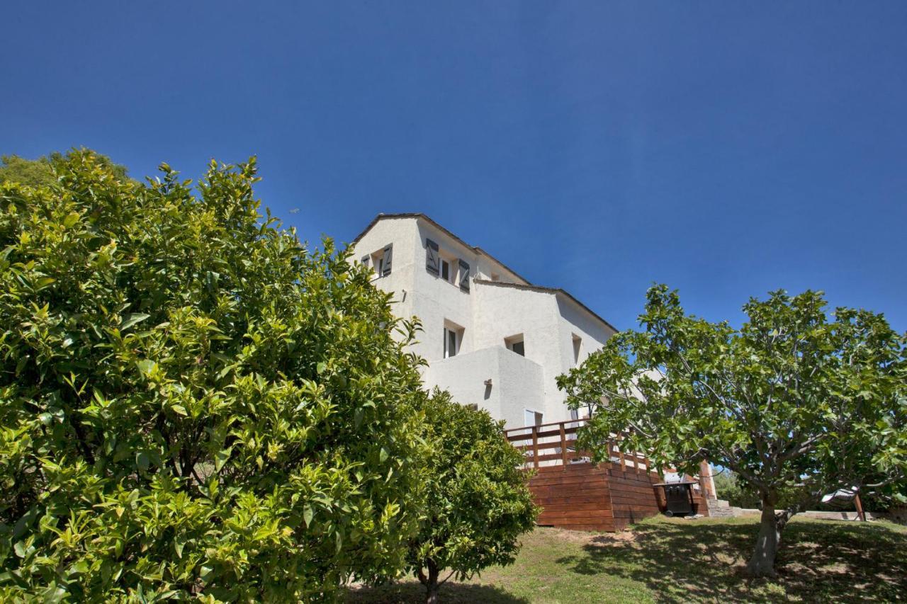 Vita Nova Santa-Maria-di-Lota Exterior photo